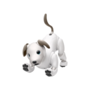 aibo